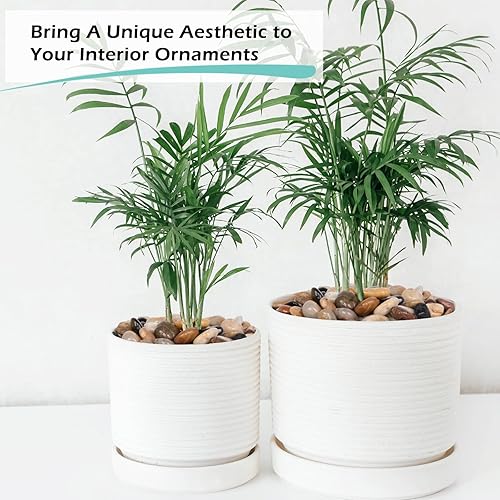 Miniatura 3 de GASPRO Rocas de río de 15 libras y canicas de vidrio plano de 20 libras para jarrón, plantas, suculentas, paisajismo, jardín y más