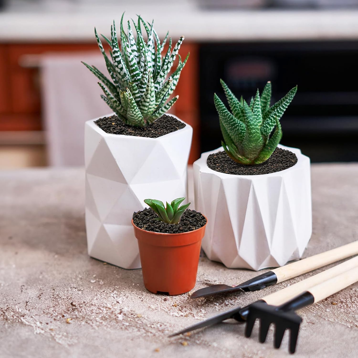 TOPZEA 12 LB Black Lava Rocks Sand for Plants, Potting Soil Decorative Landscaping Gritty Pumice, Crushed Volcanic Stone Gravel for Bonsai Succulent Cactus, Top Dressing, Vase Filler, Fairy Gardening - Image 5