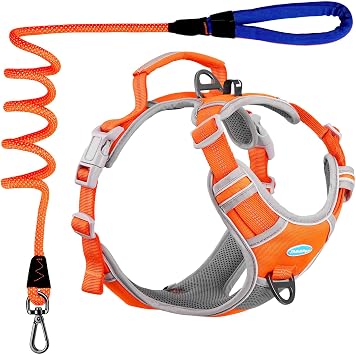 ThinkPet No Pull Harness Set Breathable Sport Harness with Handle - Reflective Padded Dog Safety Vest with Reflective Neon Dog Leash S Harness Leash Pack Orange