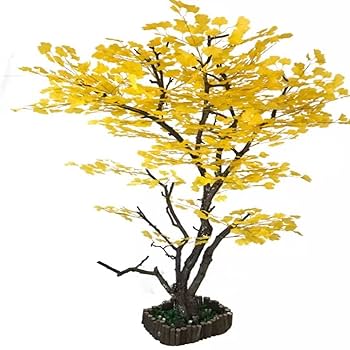 Amazon｜イチョウの木 - 植物ウェディングランディング造園