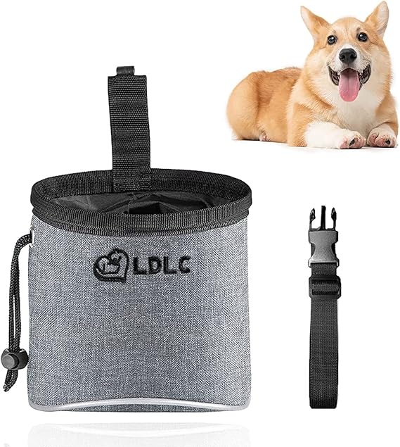 Dog Treat Bag, Waterproof Dog Training Pouch, HandFree Dog Walking Bag