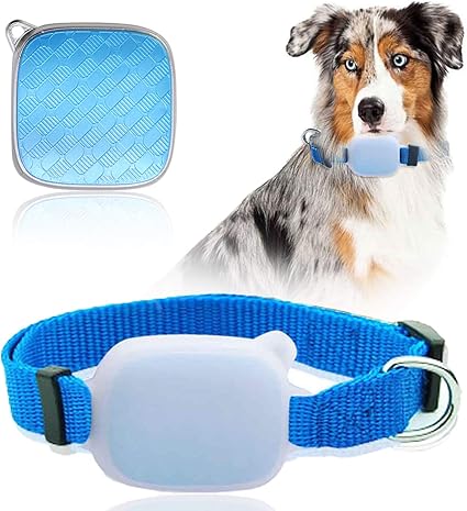 dog tracker collar uk