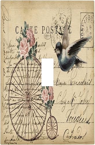 Vista 1029 de Cubiertas decorativas de salida de estrella de mar playera, tablero de madera azul de concha de mar de 1 banda, decoración individual GFCI, placa