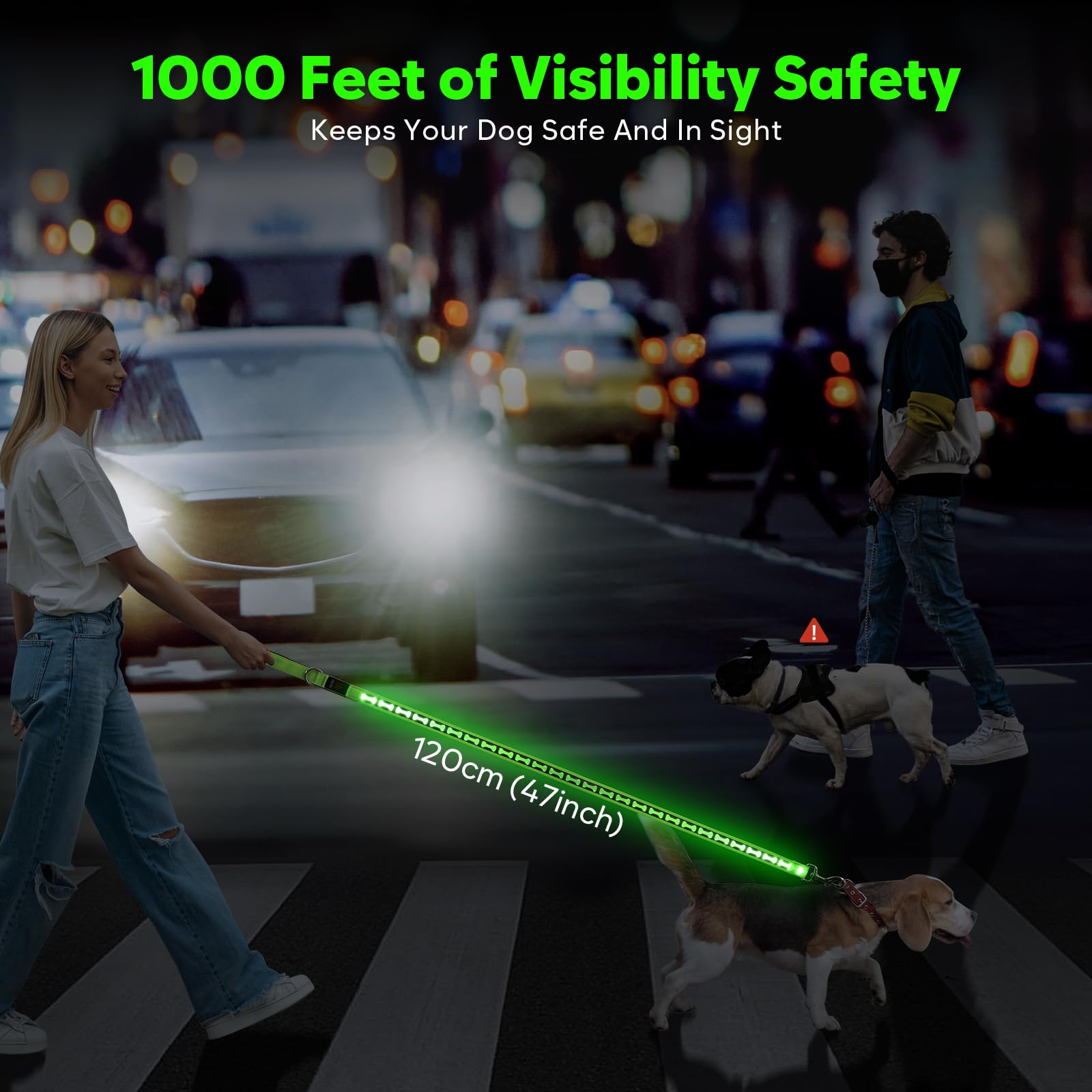 Flashseen Guinzaglio per cani luminoso, 1,2 m, LED con luce di tipo C, ricaricabile, in nylon, luci di sicurezza per cani per passeggiate notturne (verde)