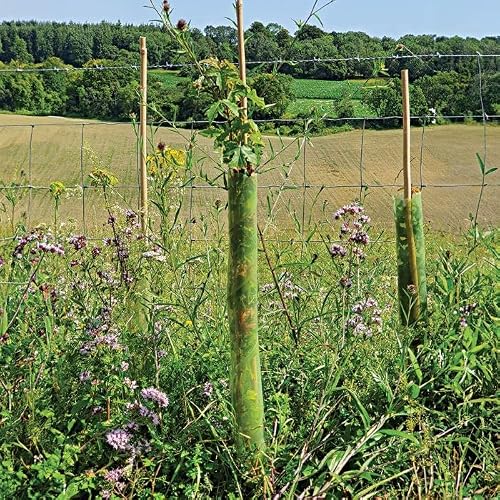 A.M. Leonard Bio Green Tree Guards, Box of 220 Guards (24 Inches)
