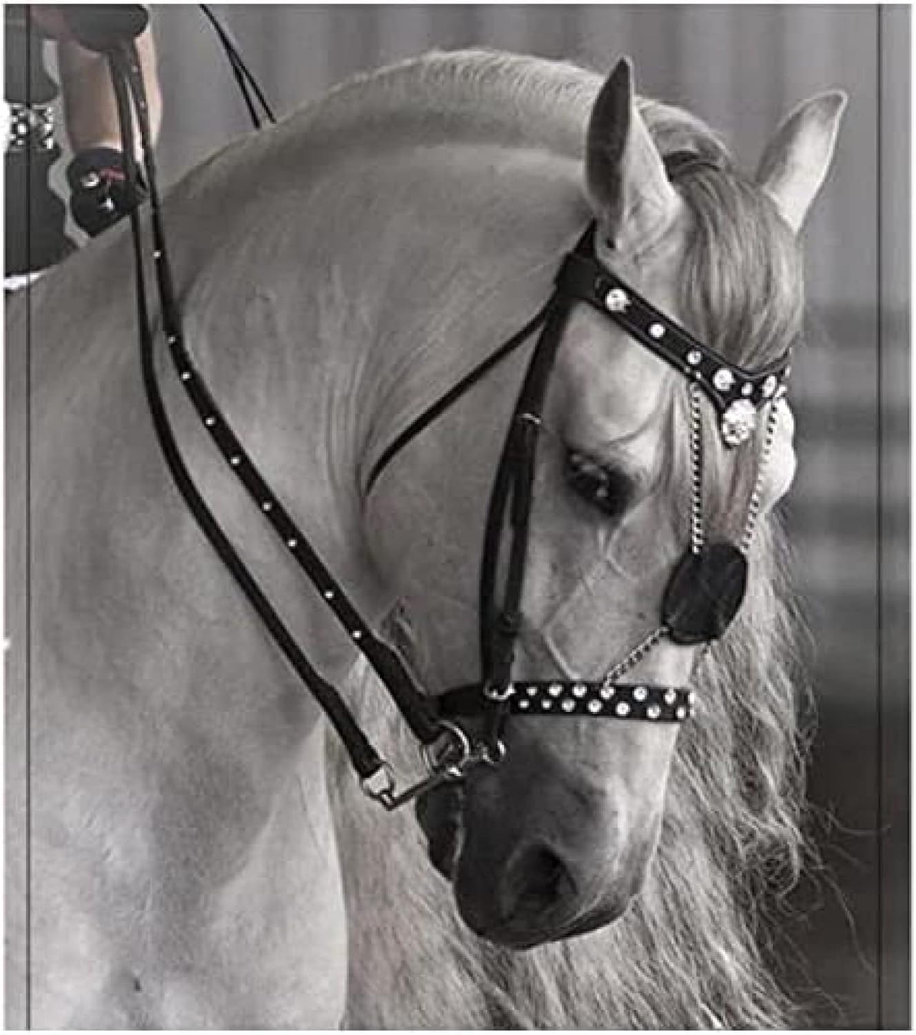 KRASS Horse Bridle with Rein - Equestrian Horse Bridles - Adjustable Horse Bridle Headcollar Equestrian Accessories Horse Saddle Accessories Halter Bridles for Horses,Collector88