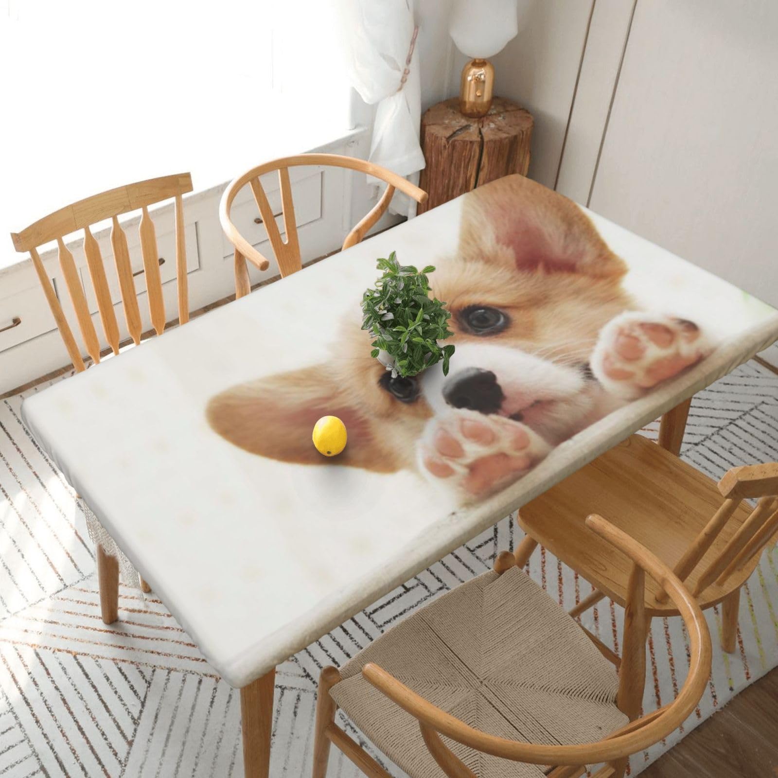 DCEHGEW Elastic Fitted Rectangle Tablecloth for 5ft Tables, Cute Corgi Printed Oilproof & Washable Fabric Picnic Table Cloth Table Covers