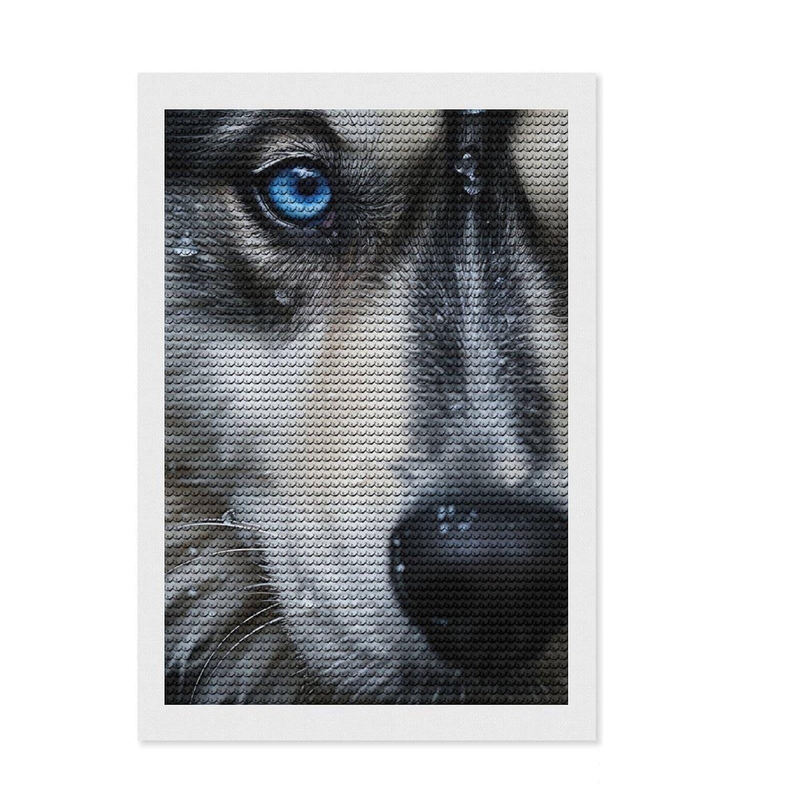 Junmoney Husky Eyes Diamond Painting Canvas Set 8"x12", for Craft Lovers, Nice Detail and Sparkle, Boho Decor, Birthday Gift