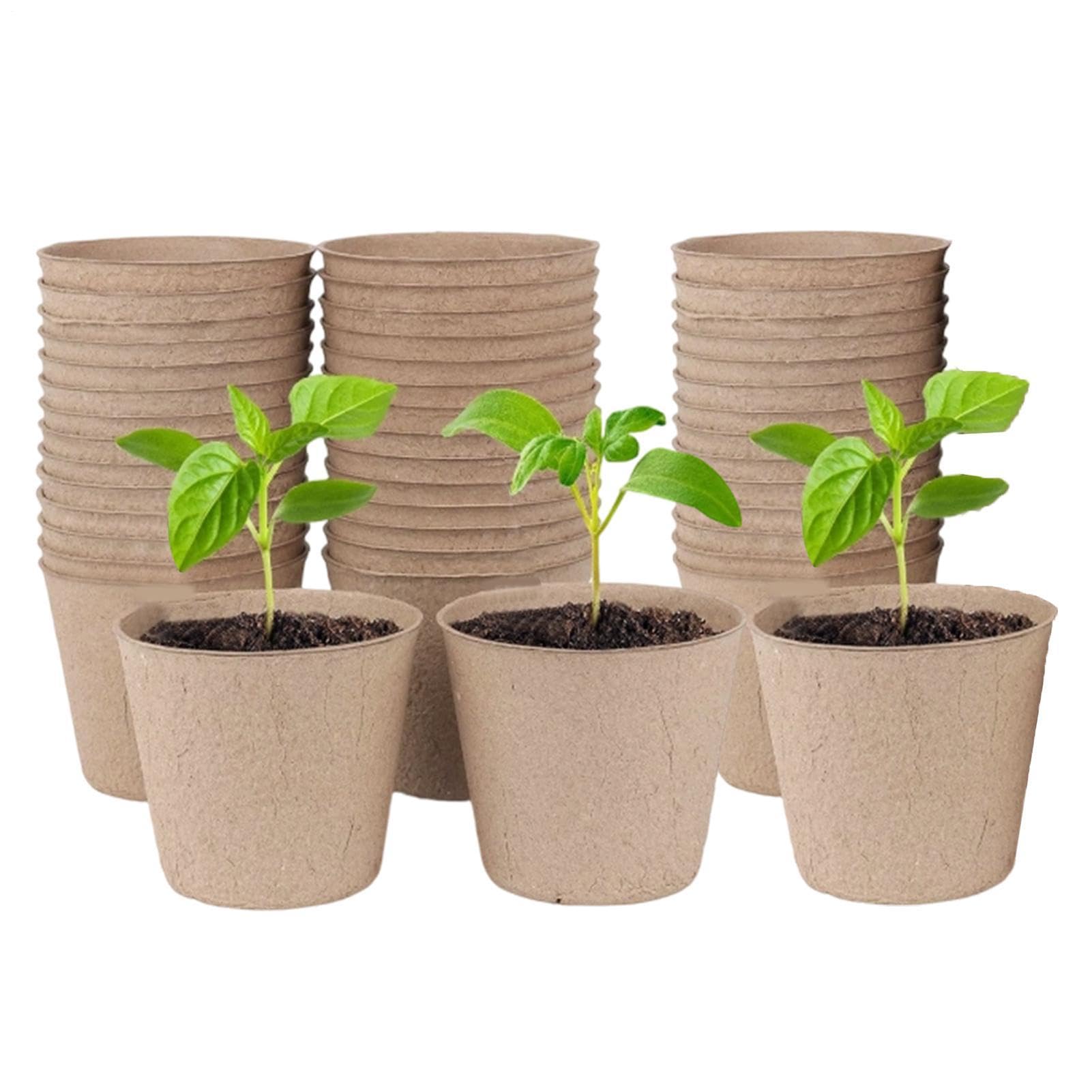 Pots de pépinière pour laitue et herbes au jardin ou sur le balcon