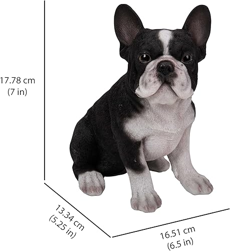 Miniatura 3 de Hi-Line Gift Ltd Estatua de cachorro de bulldog francés sentado