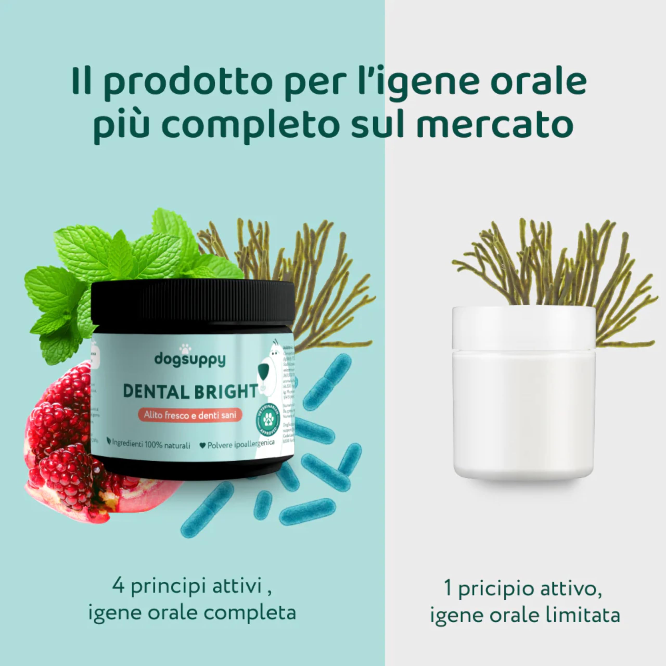 DogSuppy Dental Bright per Cani, 100% Naturale, 60 dosi