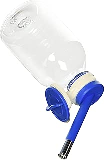 kordon oasis water bottle