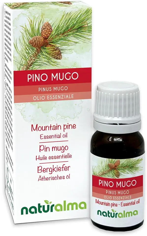 Mountain Pine or Mountain Pine (Pinus mugo or P. Montana) Needles (Leaves) Naturalma - 10 ml - 100% Pure and Natural Essential Oil - Food Flavour - Vegan and Made in Italy