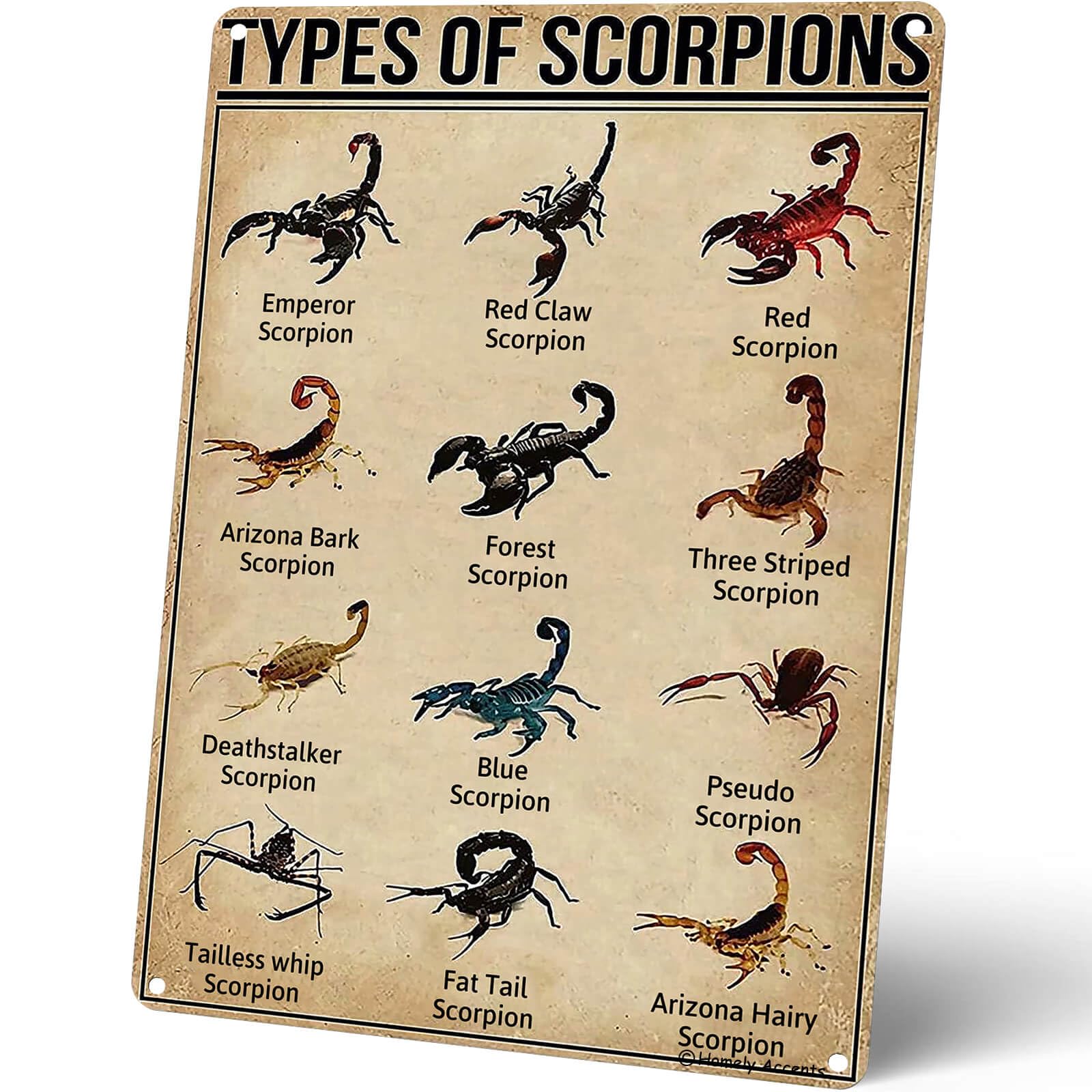Amazon.com: Homely Accents Types of Scorpions Metal Tin Sign