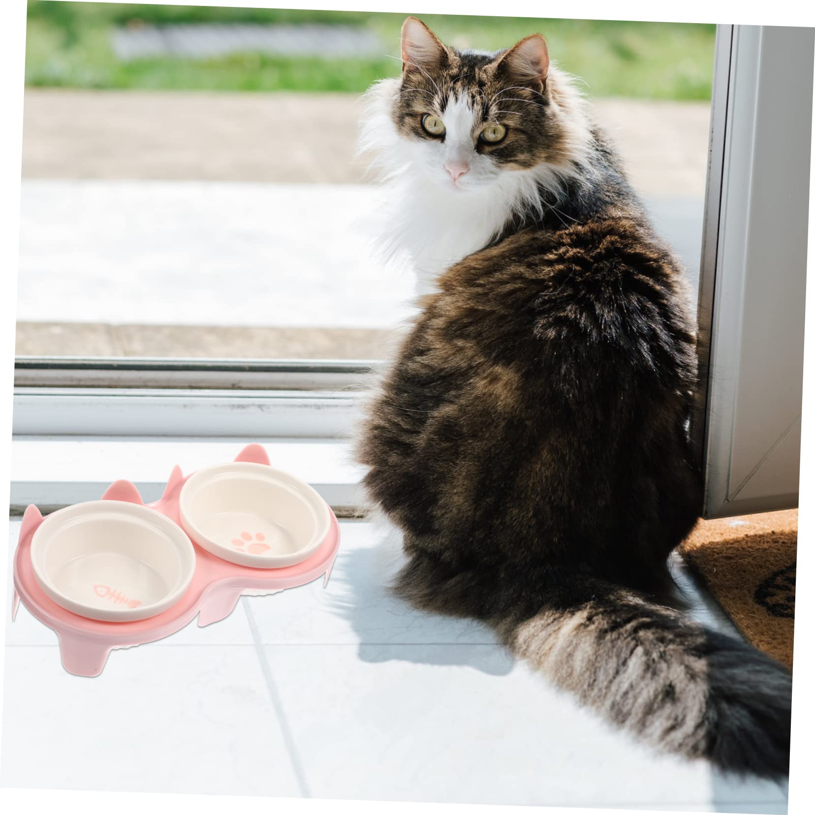 Elevierte Katzennäpfe Aus Keramik Für Haushalt Erhöhter Futternapf Für Katzen Und Kätzchen Mit Standfuß Praktisch Und Einfach Zu Reinigen