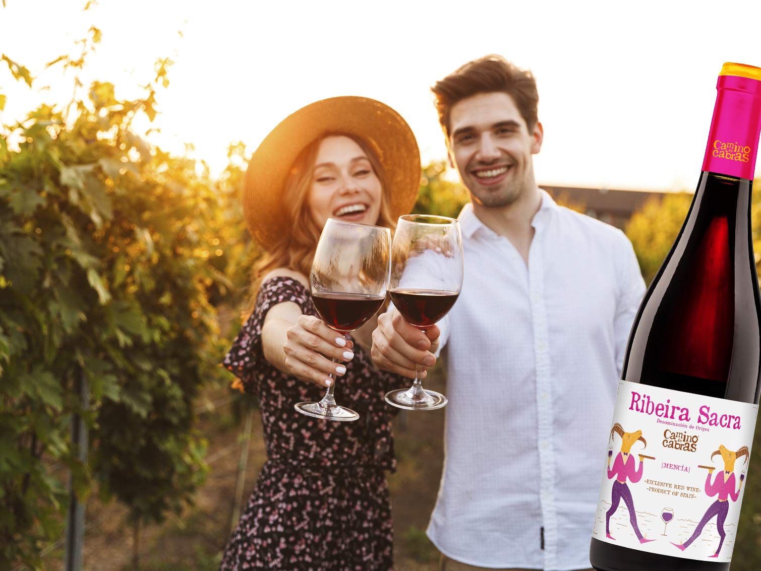 Vino Mencia - Caja Vino Tinto 6 botella x 750 ml - Vino para Regalar – Vino Gallego Premium – Vino Regalo Gourmet – Pack Regalo vino - D.O Vino Ribeira Sacra - CAMINO DE CABRAS