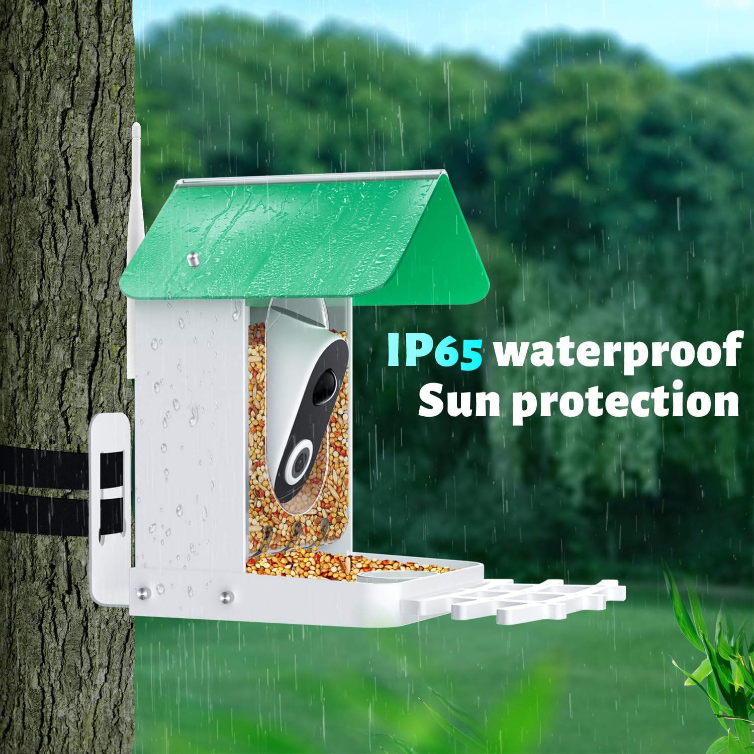 Smart Bird Feeder Camera AI Identify 8000+ Birds,Auto Capture Videos & APP Notify Video Camera for Bird Lovers-Ideal Gift for Family