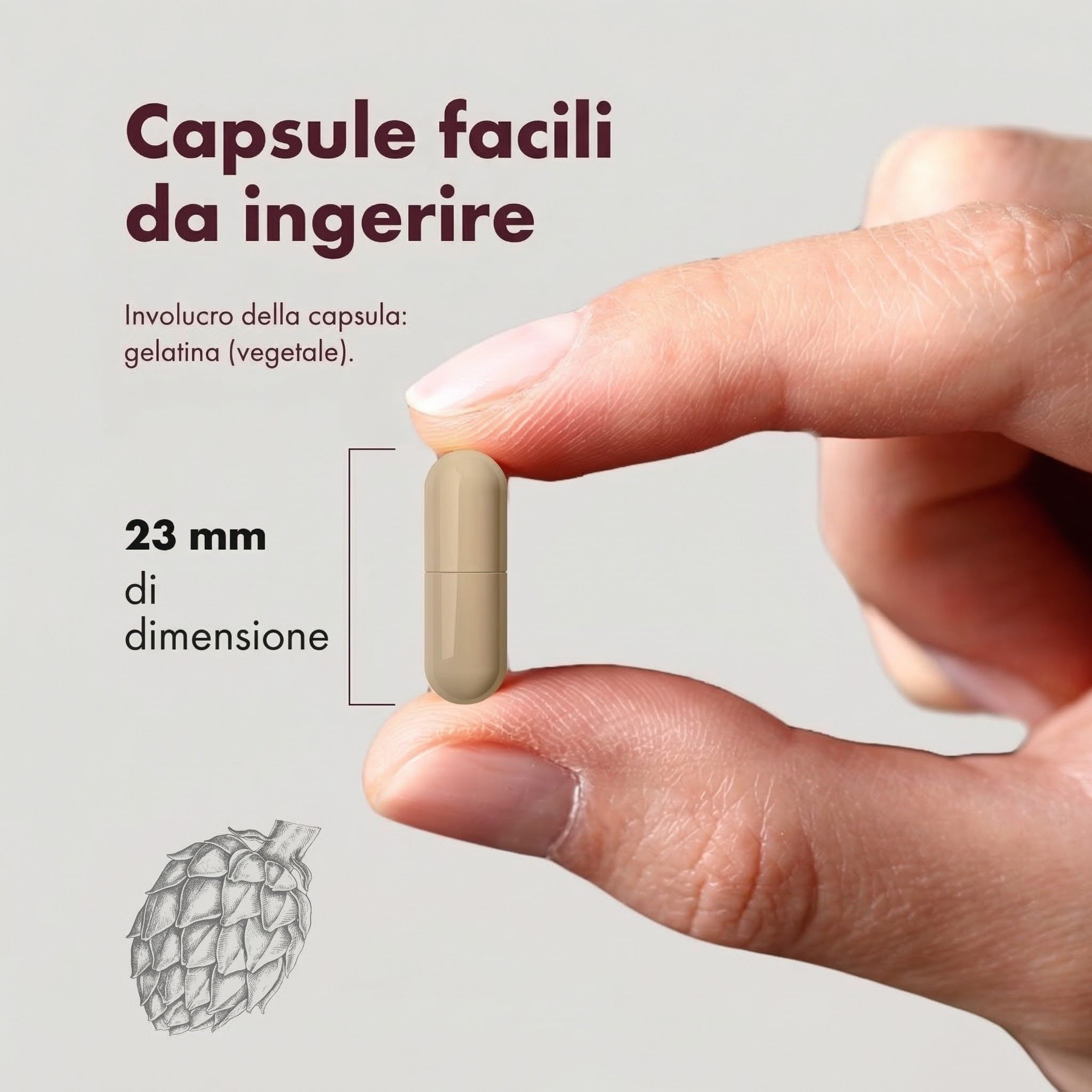 Granatum Plus - Punicalagina Plus - Integratore Alimentare - Estratto di Melagrane - Integratore Antiossidante - Digestione e Metabolismo - Cura Pelle - Prodotto in Spagna