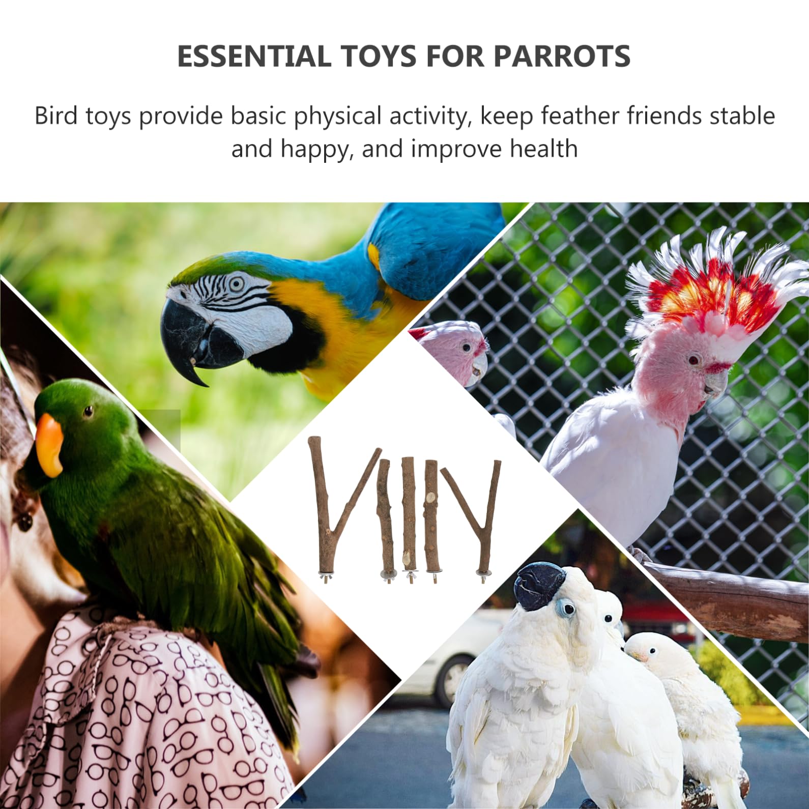 DOITOOL 5ensembles Perchoir à Oiseaux De Sèchage Naturel De Barres De Jeu pour Oiseaux avec Support Accessoires De Cage pour Perruches Et Perroquets Couleurs Aléatoires