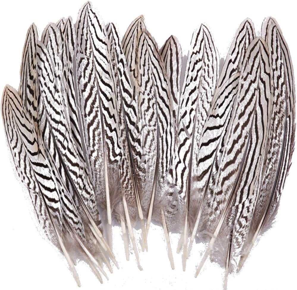 Sowder 10pcs Silver Pheasant Plumage Feathers 7-10 Inches Home Wedding Decoration