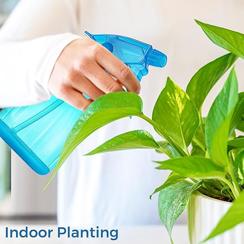 Miniatura 3 de DilaBee Botellas pulverizadoras (12 onzas) Botella de spray de agua para cabello, plantas, soluciones de limpieza, cocina, barbacoa, botella de