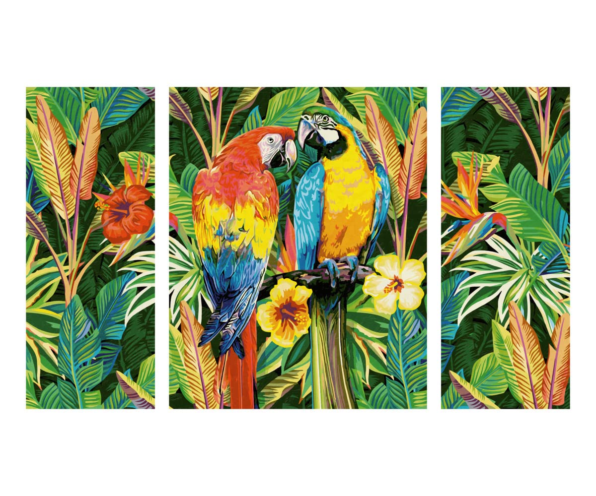 Schipper 609260853 - Dipingere con i Numeri, pappagalli nella Foresta pluviale, per Adulti, Inclusi pennelli e Colori acrilici, trittico, 50 x 80 cm