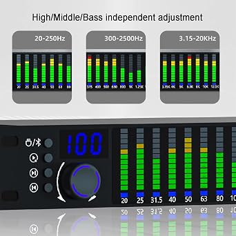 Graphic Equalizer Hifi, 31-Band Digital Equalizer, 1U Rack Mount Spectrum Analyzer, with Noise Reduction, 10 Preset Effects, High/Mid/Bass Adjustment, for Recording Studio