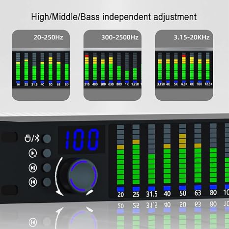 Graphic Equalizer Hifi, 31-Band Digital Equalizer, 1U Rack Mount Spectrum Analyzer, with Noise Reduction, 10 Preset Effects, High/Mid/Bass Adjustment, for Recording Studio