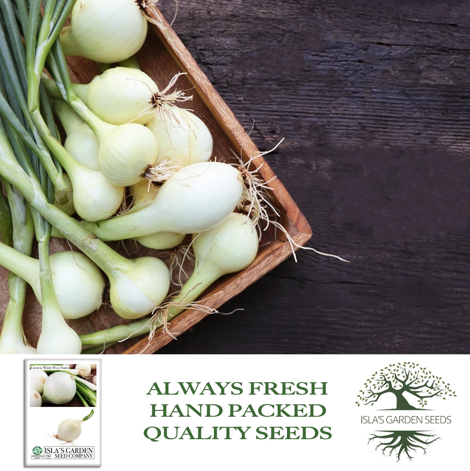Amazon.com : Crystal White Wax Onion Seeds (Allium cepa) – 500+