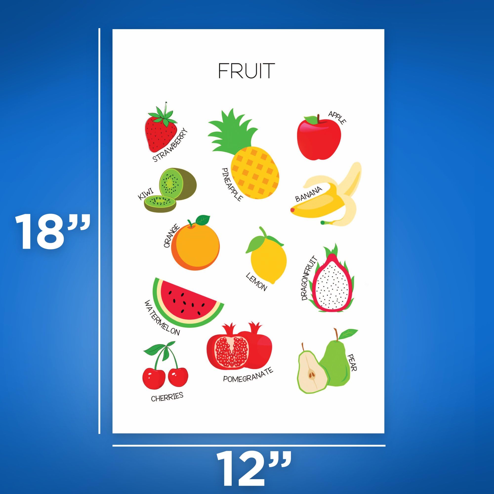 Amazon.com: Bliss Monkey Co. Fruit Diagram Poster - Fruit
