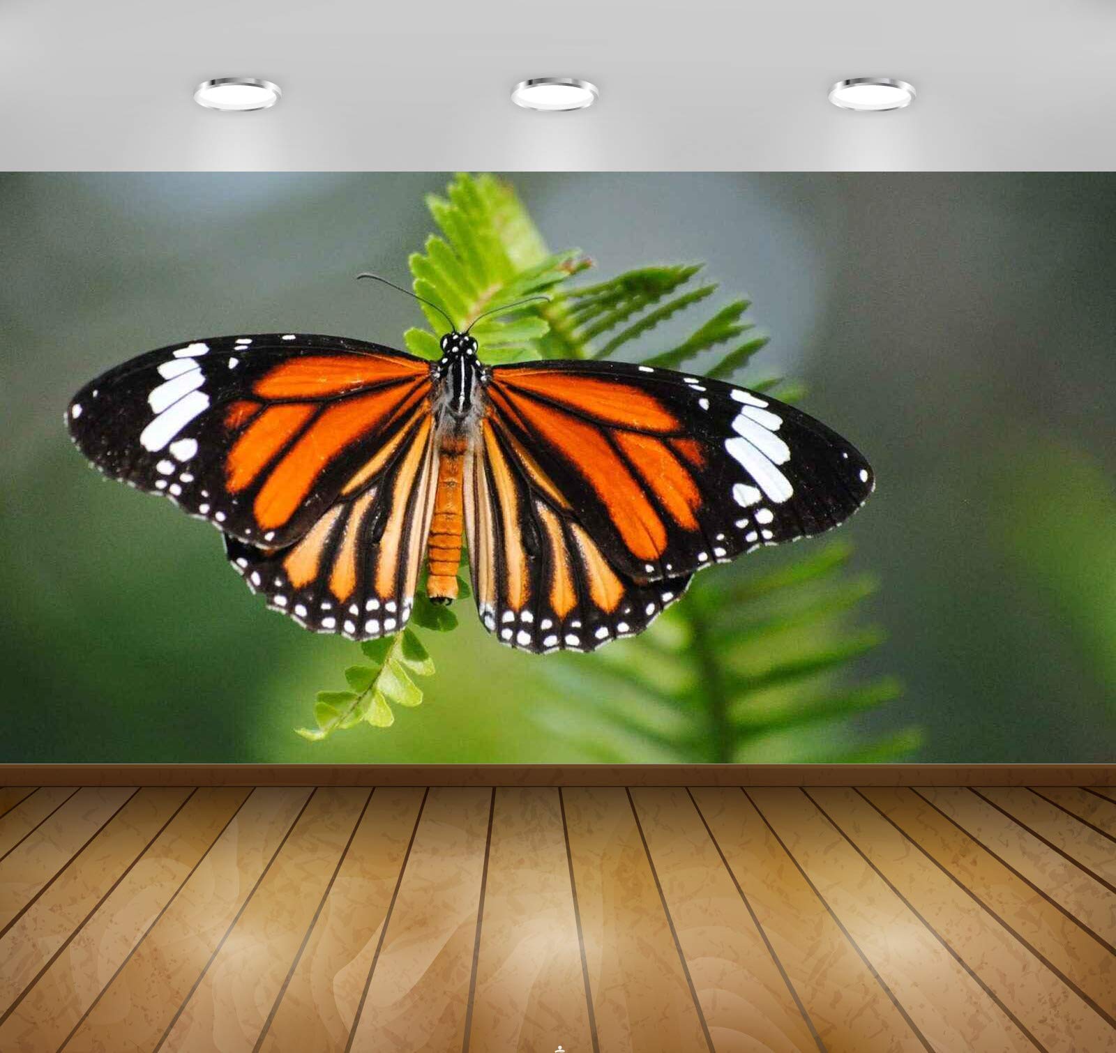 Avikalp Awi3057 Striped Tiger Danaus Genutia Butterfly Hd Wallpapers (Vinyl, 91cm x 60cm)