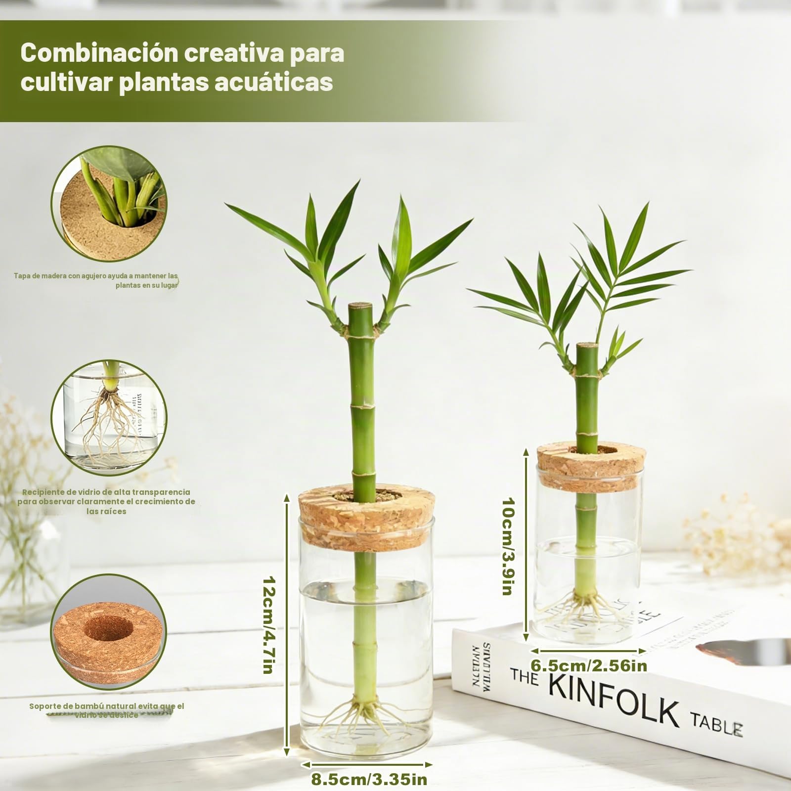 BigKing Terrario hidropónico para plantas de 4 piezas con tapa de madera, juego completo de jardín de botellas, terrario de plantas, vidrio hidropónico para plantas de flores y plantas de interior