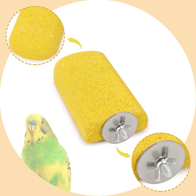 Foto 4 de 8 de Hypeety Pájaro loro, dientes de calcio, boca, molar, piedra molar, hámster, juguete para masticar, perca