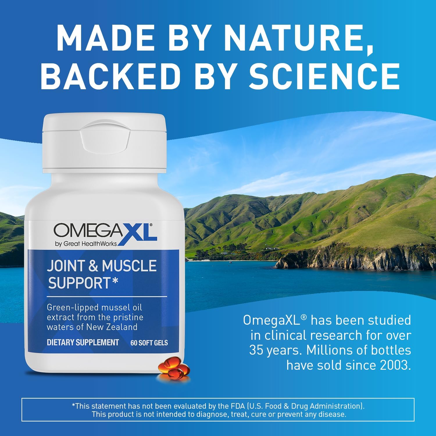 OmegaXL Joint Relief Supplement - Natural Muscle Support, Green Lipped Mussel Oil, Soft Gel Pills, Drug-Free, 60 Count : Health & Household
