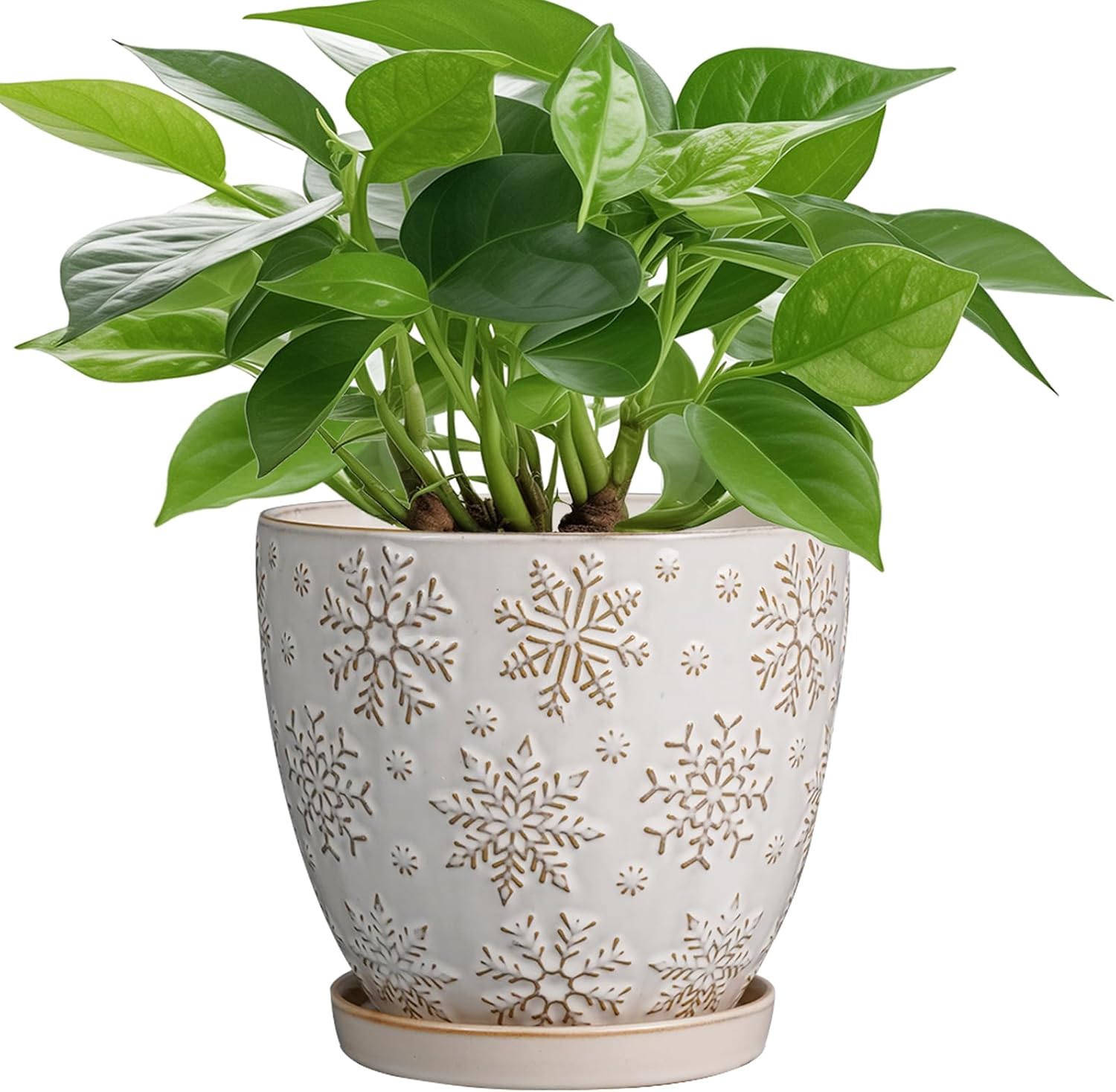 6 Inch Plant Pot with Drainage Hole and Saucer Ceramic Planter for Indoor Plant Flower Pot for Orchid Succulents Plants White 6 Inch Snowflakes White