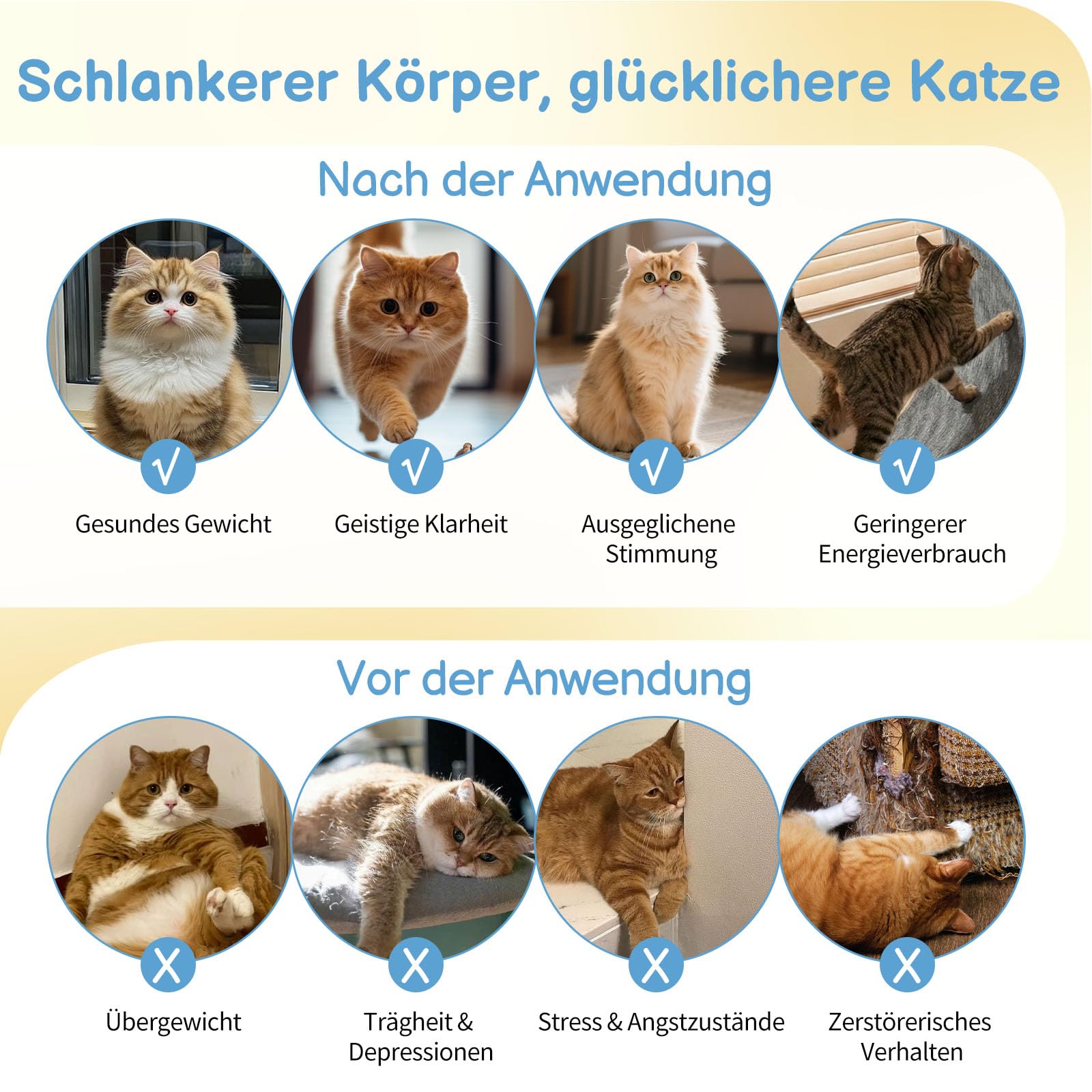 LEADZM Katzenlaufrad 80cm Durchmesser - Laufrad Katze aus Kunststoff, Inklusive Teppich und Katzenspielzeug, stabil und leise - Geeignet für Katzen mit einem Gewicht von höchstens 15 kg (Blau)