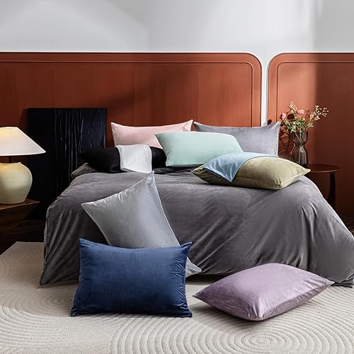 Miniatura 45 de TELUS 2 Pack Zippered Velvet Standard Pillowcases, Super Soft and Cozy Luxury Fuzzy Flannel Pillow Cases with Zipper, 20x26 Inches, Light Blue