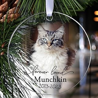 Personalized Cat Memorial Ornament, Touber Cat Christmas Ornaments, Forever Loved Cat Keepsake, Cat Loss Gifts, Pet Memorial Gifts for Cats, in Loving Memory of Cat - Acrylic