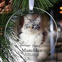 Personalized Cat Memorial Ornament, Touber Christmas Ornaments, Forever Loved Keepsake, Cats Loss Gifts, Pet Memorial Gifts, in Loving Memory of Cat - Acrylic