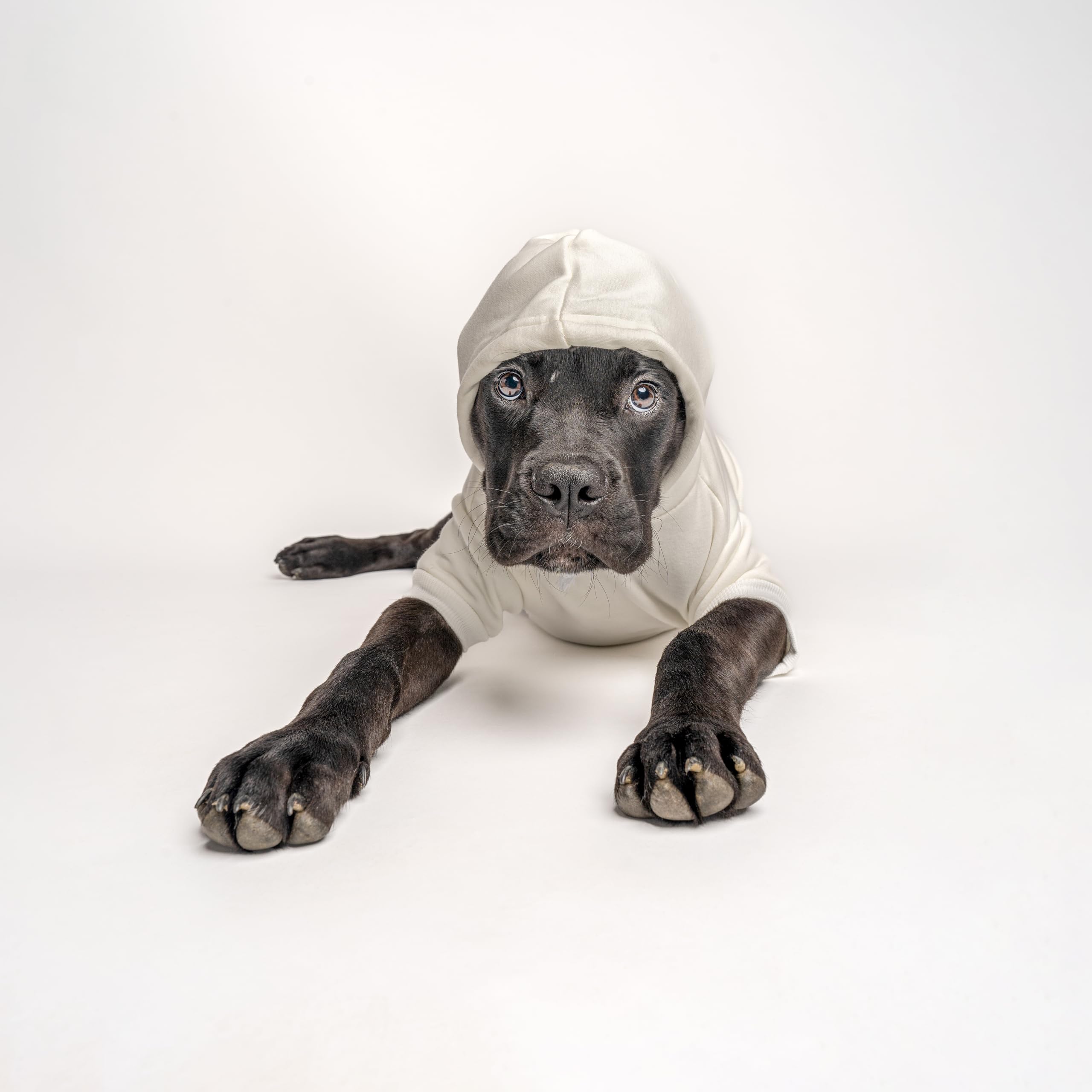 Love My Grandma Mother's Day, Valentine's Day Dog Hoodie Fleece Lined Pullover Sweatshirt with Leash Hole (Royal Blue, X-Large 399)