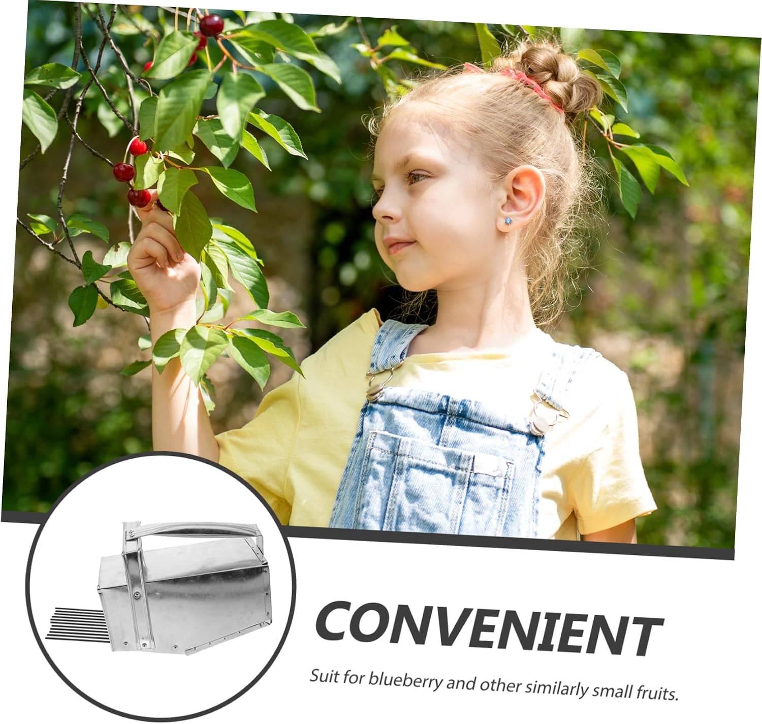 Handheld Blueberry Picker Tool Labor Saving Fruit Harvesting Device for Efficient Blueberry Collection Lightweight and Portable Garden Tool for Outdoor Use
