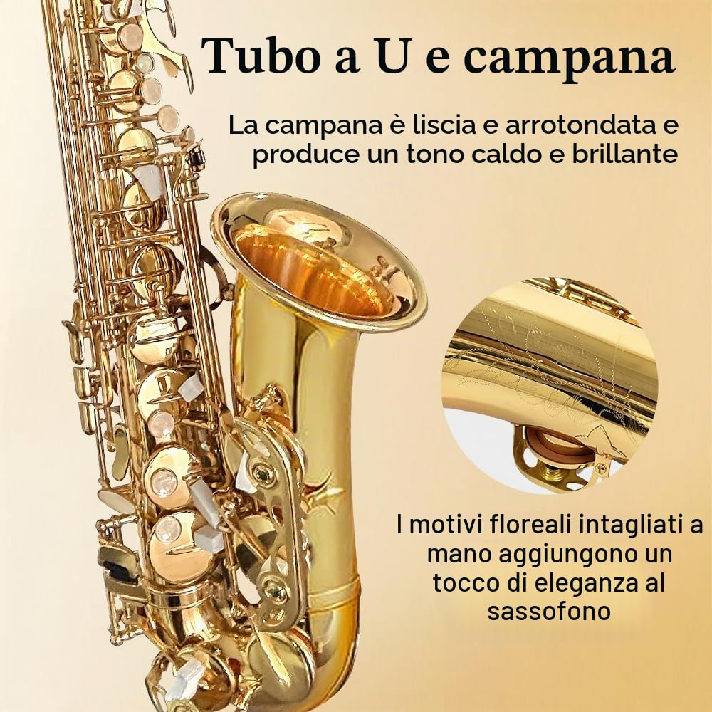 Yinfente Sassofono Contralto in Mi♭ per Principianti Adulti, Sassofono per Studenti, Sassofono Contralto in Mi Bemolle Kit Completo con Ance, Cuscinetti, Custodia Rigida da Trasporto, Panno e Asta per