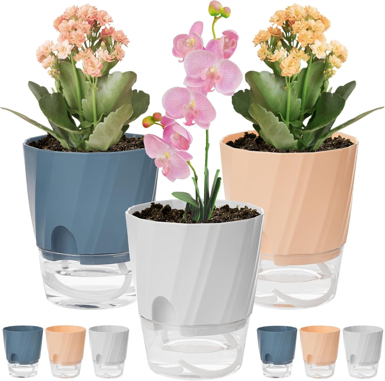 KAHEIGN 6Pcs Self Watering Plant Pots, 12CM Plastic Flower Pot Garden Bonsai Pot with Drainage Hole and Large Capacity Reservoir - Pots for Aloe Herb Orchid Succulent Plants (3 Colors)