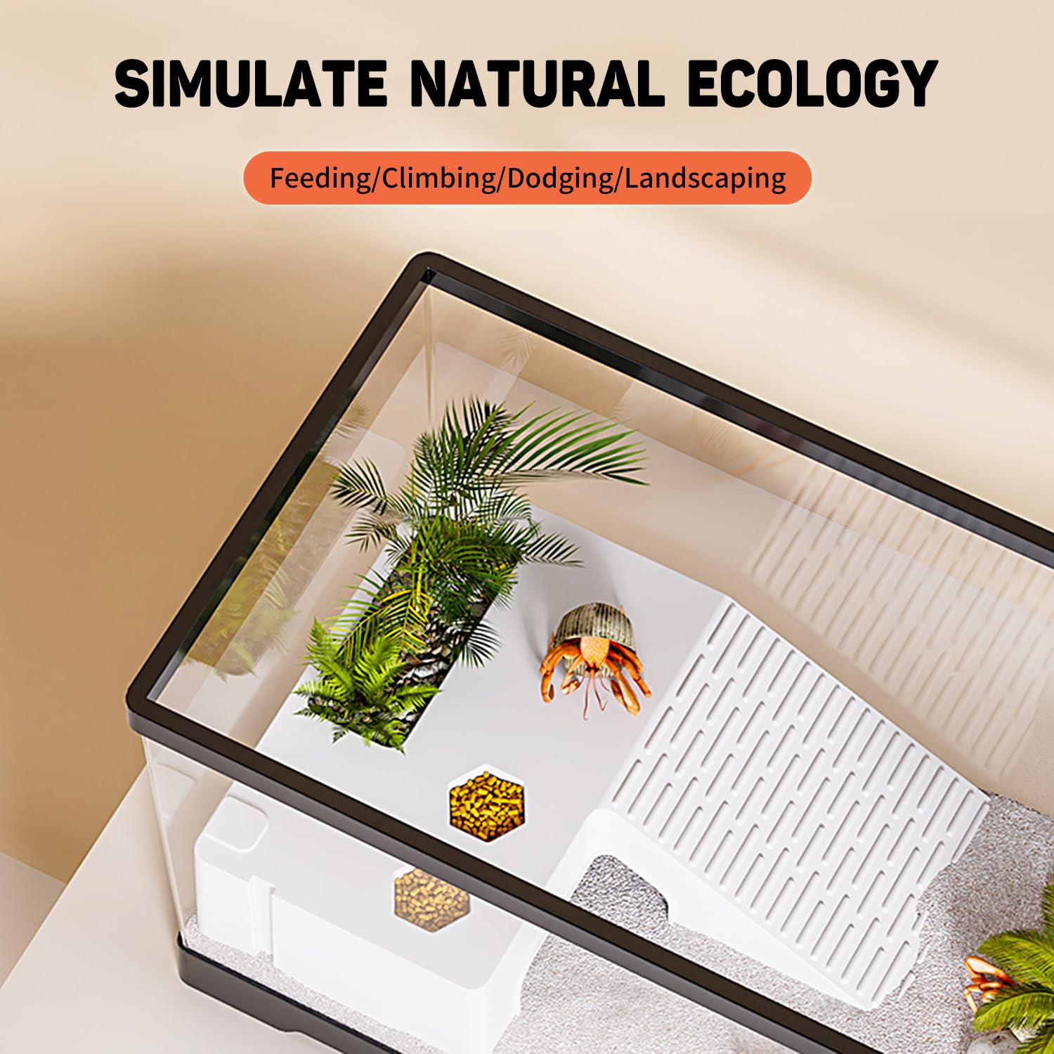 KAKOOTI Acquario per tartarughe con drenaggio sul fondo, 40 x 20 x 22,5 cm, per tartarughe giovani, gamberi di fiume, granchi, anfibi e rettili - 5