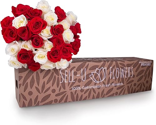 Variadas rosas rojas y blancas para Navidad y 6 colores más - 24, 50, 100 o 150 rosas - Envío directo gratuito a la granja - Entrega entre 4 y 5