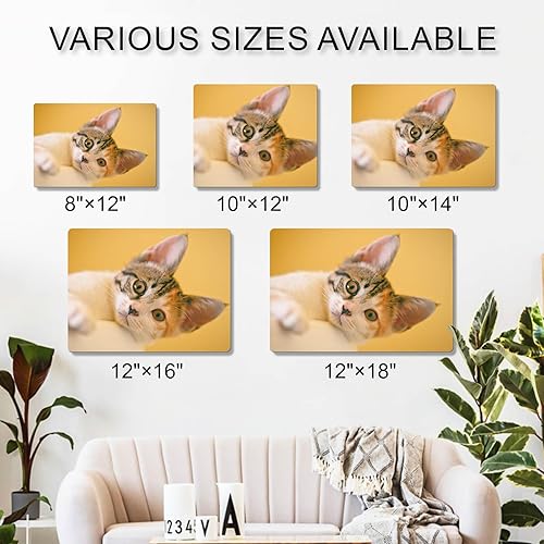 Miniatura 5 de CUSTOM STEWARD Marcos de fotos personalizados con tus fotos, regalos de fotos personalizados, decoración de pared, impresiones de fotos de metal