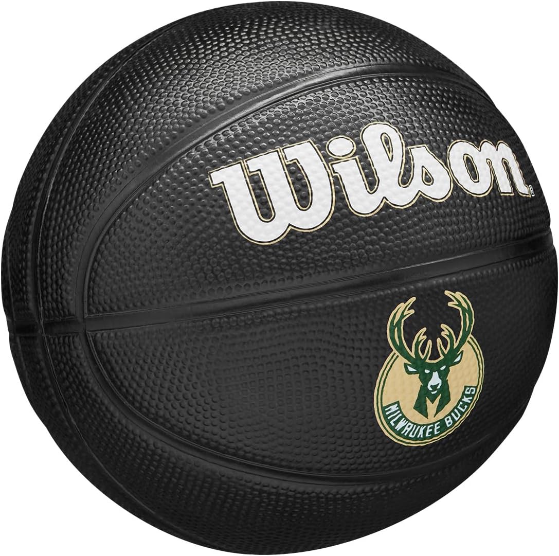 WILSON NBA Team Tribute Mini Basketball