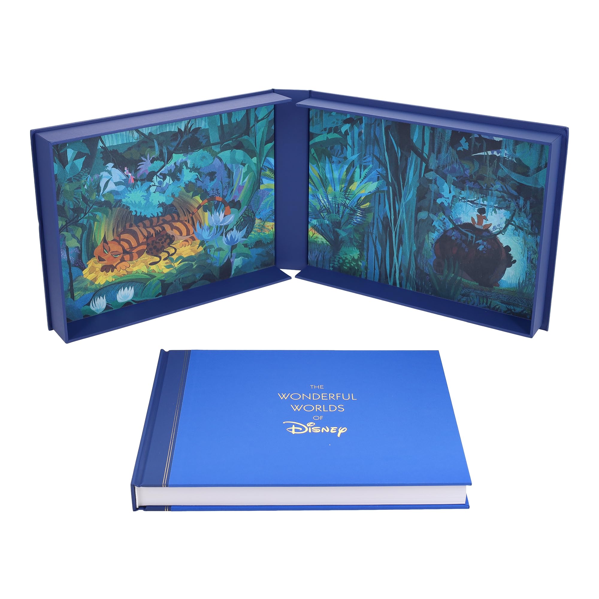Disney The Wonderful Worlds of Disney: The Scenic Art of Walt Disney Animation Studios