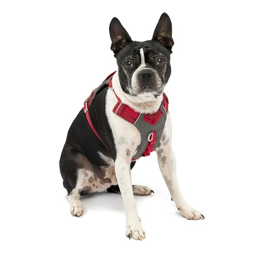 Kurgo Journey Air Arnés para Perros Activos, S, Rojo