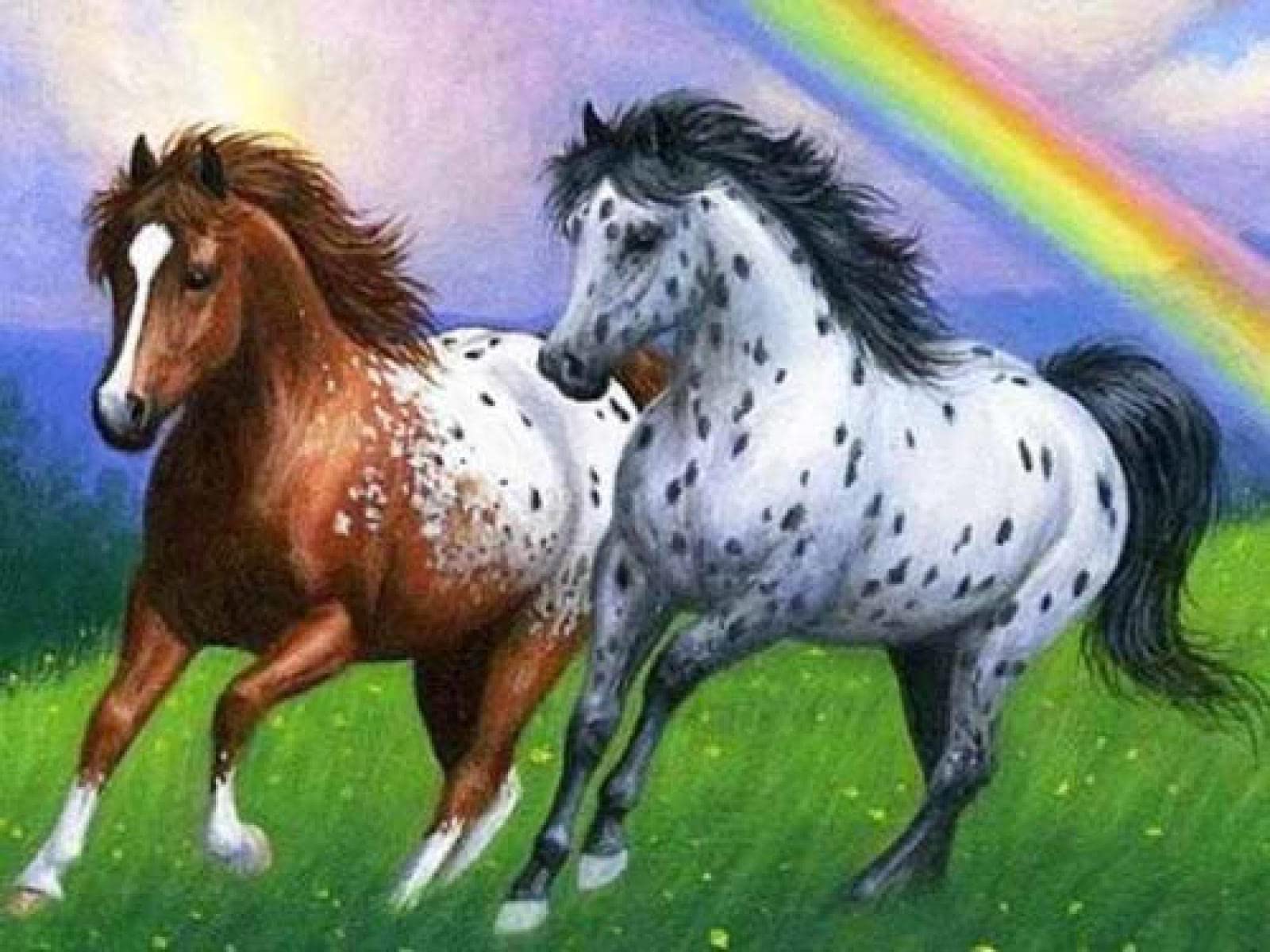 Mosaïque strass cheval 5D pour créer un tableau point de croix dans votre bureau